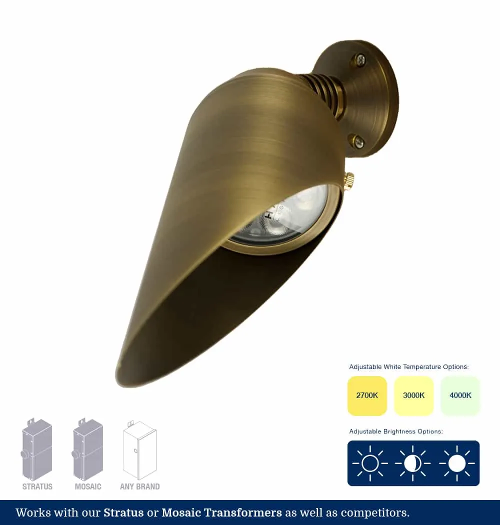 Adjustable White 3-Inch Brass LED Down Light