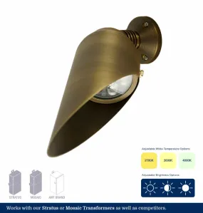 Adjustable White 3-Inch Brass LED Down Light