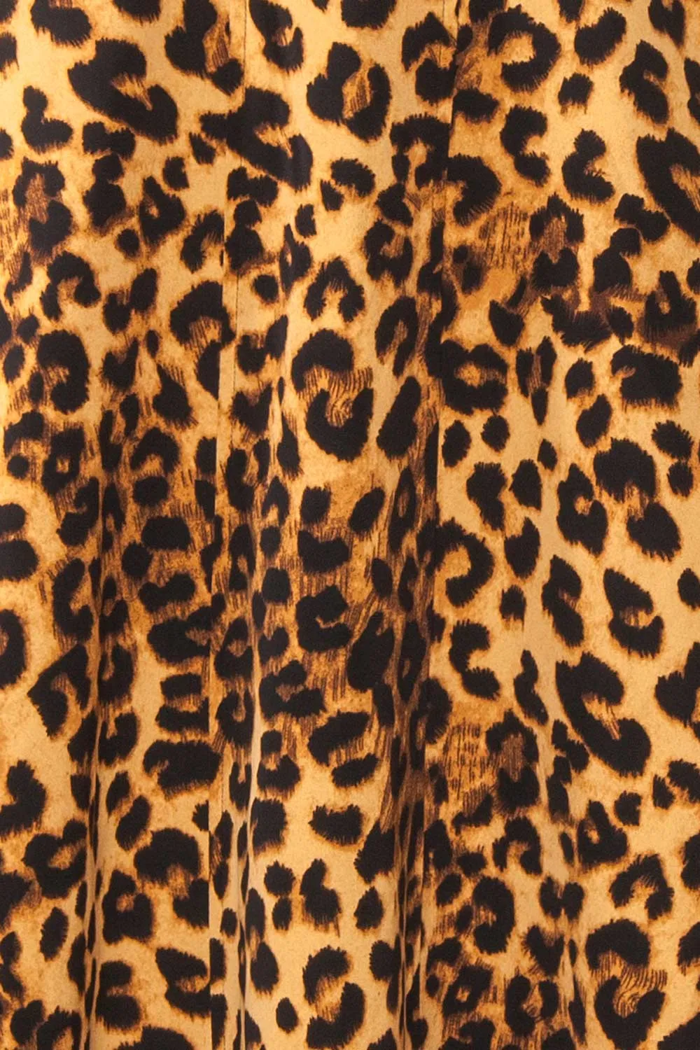 Aidan | Leopard Bustier Midi Dress