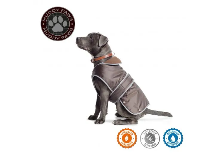 Ancol - Stormguard Dog Coat - Hi Vis Yellow - Small