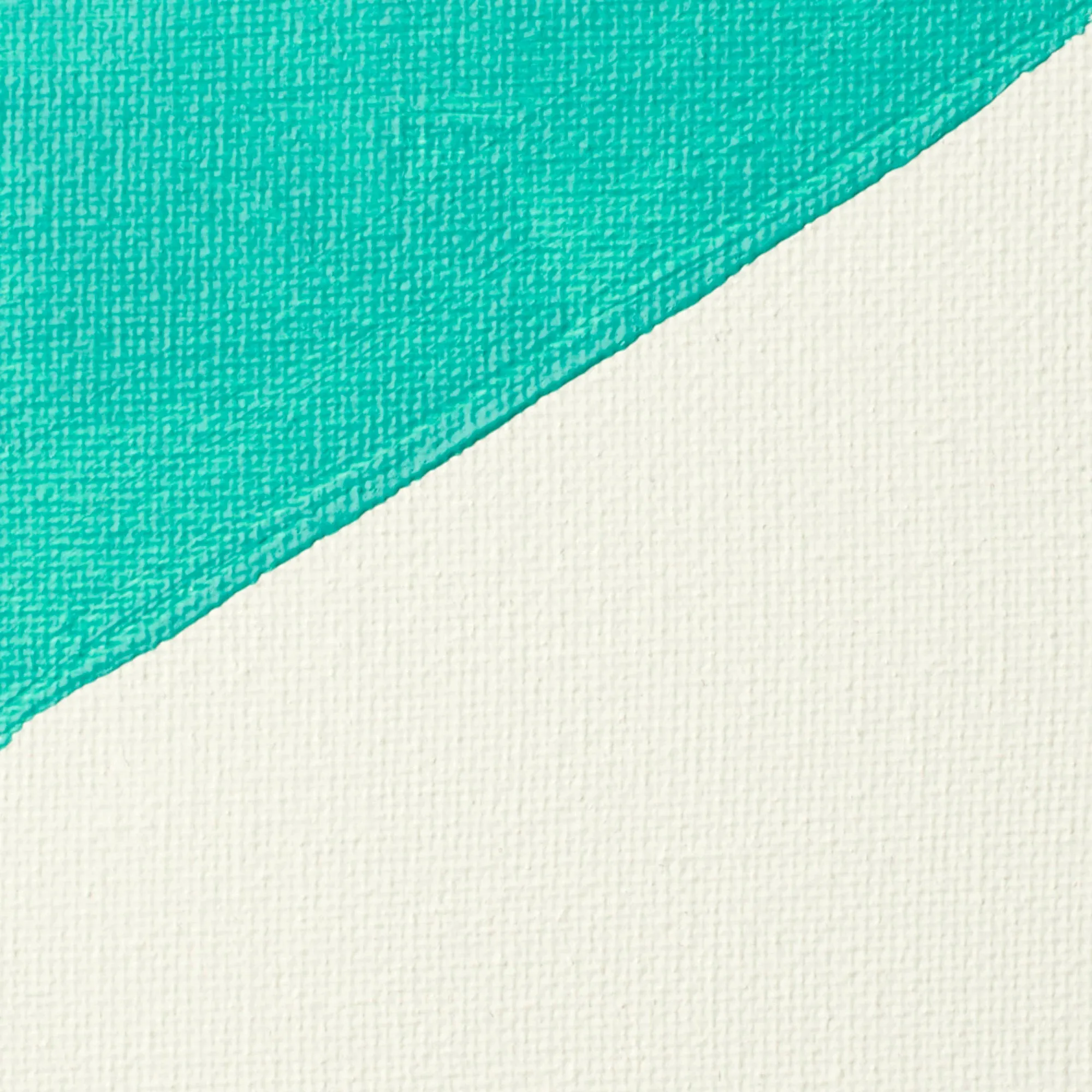 Liquitex Professional White Gesso Primer