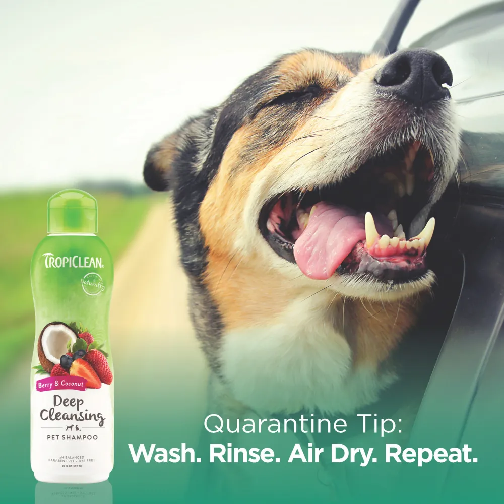 Tropiclean Berry and Coconut Deep Cleaning Shampoo for Dogs and Cats